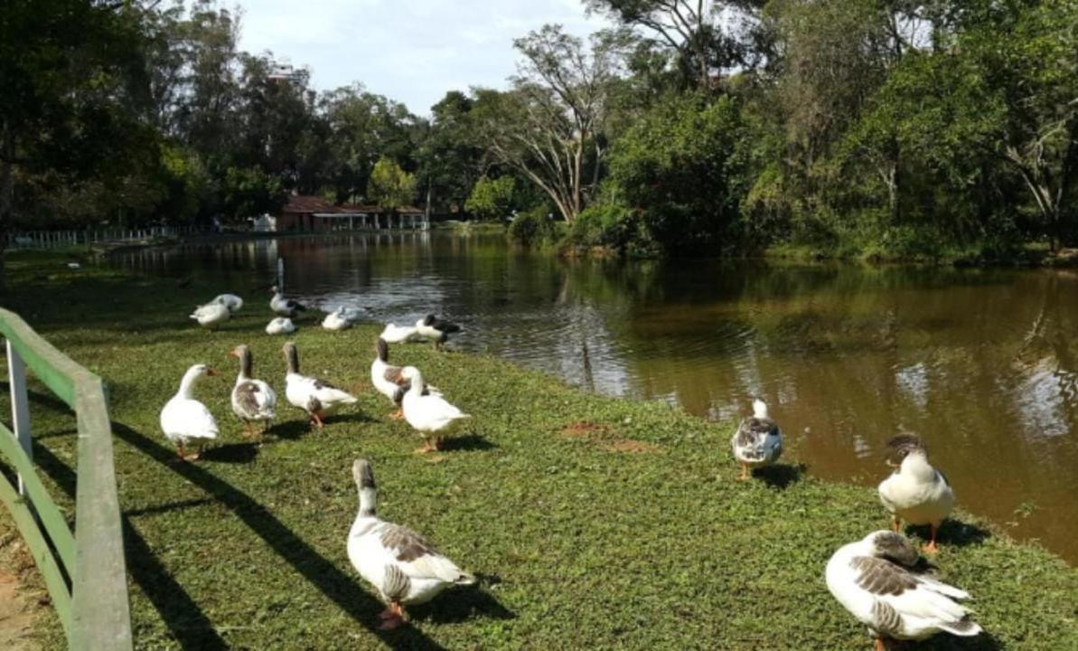 Sul De Minas * Caxambu