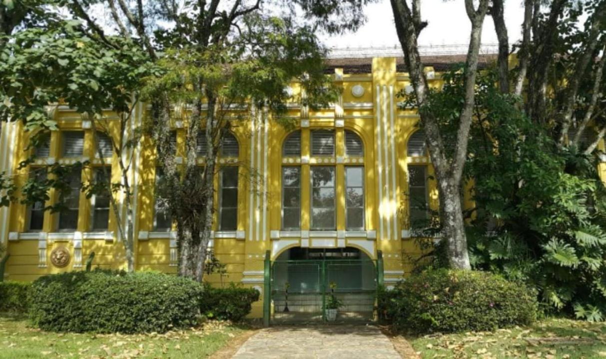 Sul De Minas